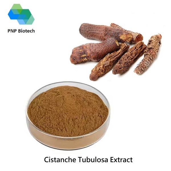 Cistanche Tubulosa Extract