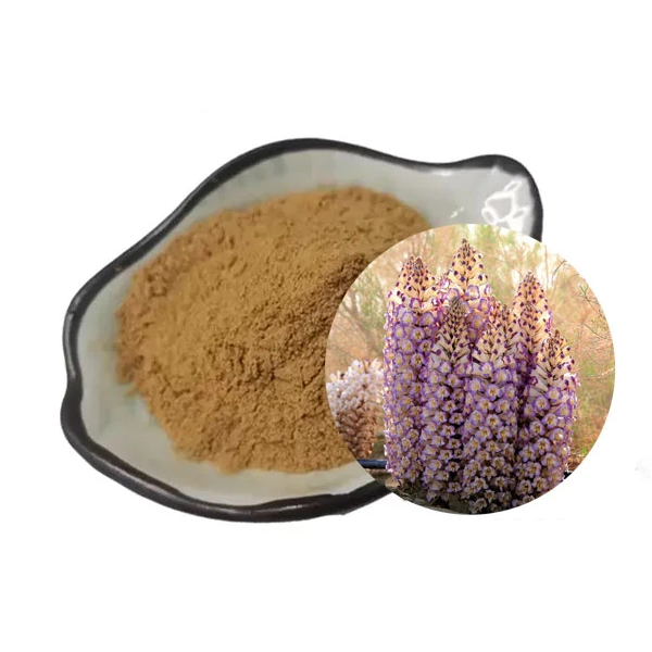 Cistanche Tubulosa Extract