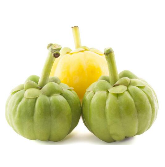 Garcinia Cambogia Extract