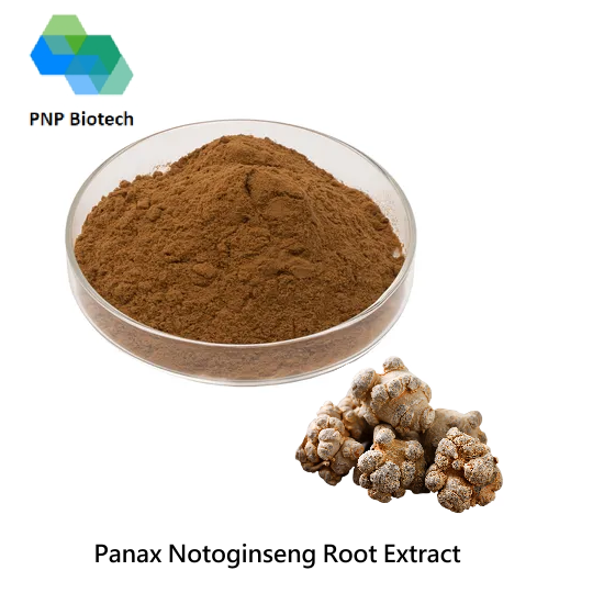Panax Notoginseng Root Extract