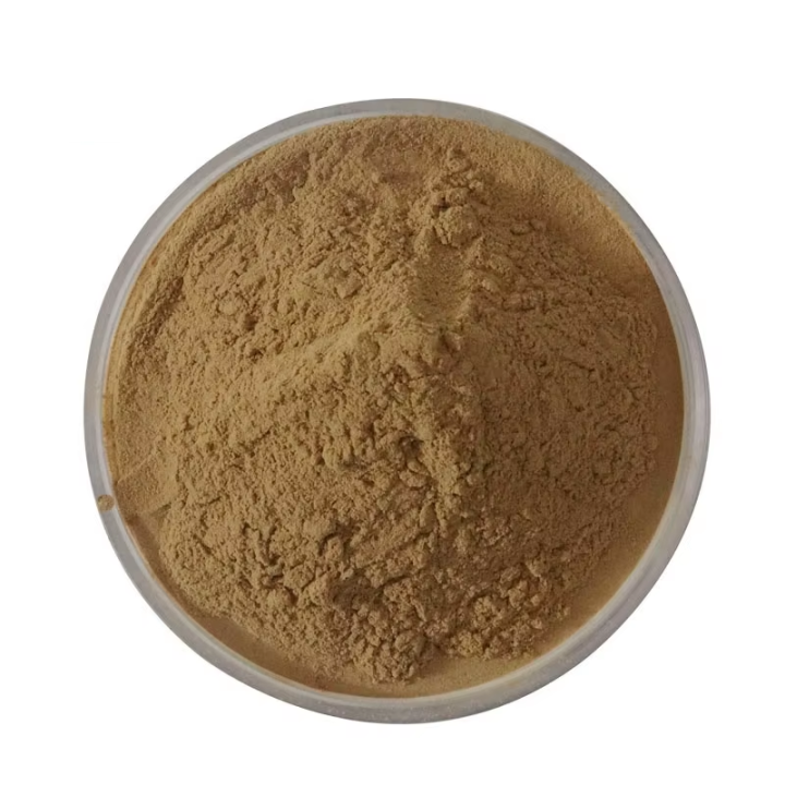Panax Notoginseng Root Extract
