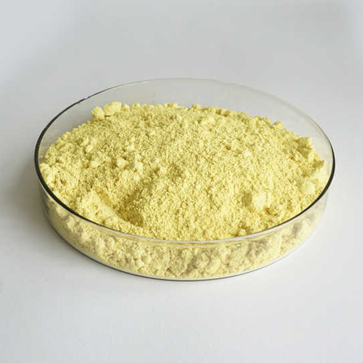 Scutellaria Baicalensis Extract