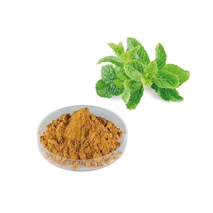 Spearmint Extract