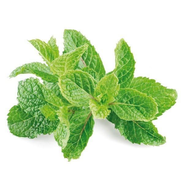 Spearmint Extract