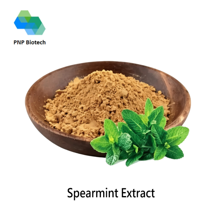 Spearmint Extract
