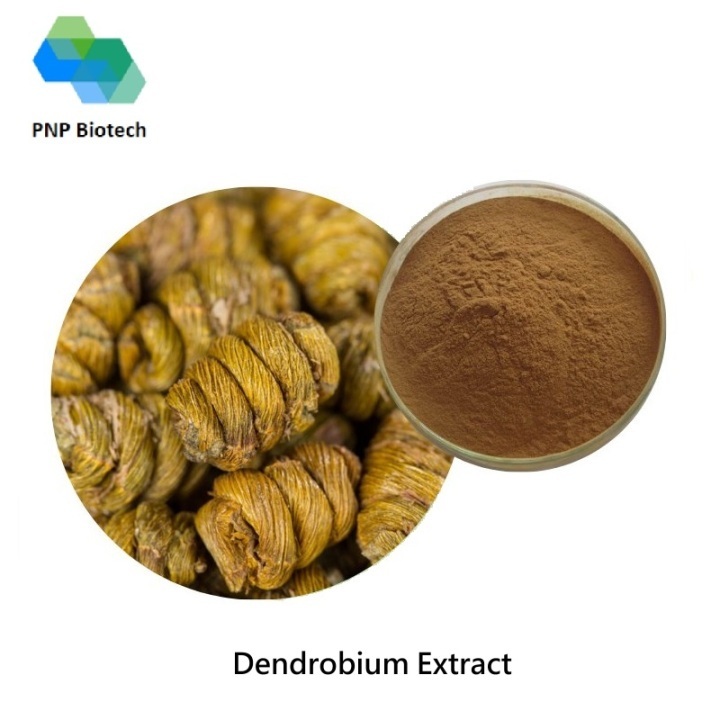 Dendrobium Extract