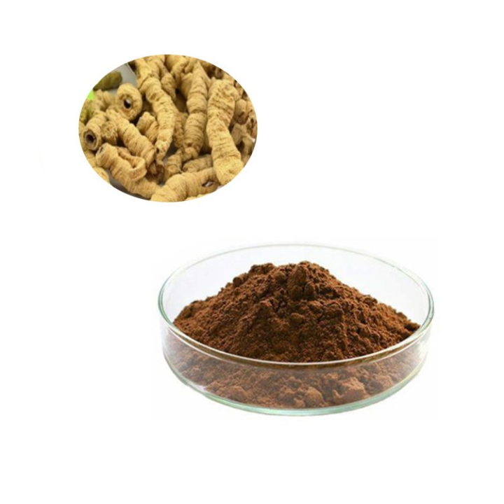 Morinda Root Extract
