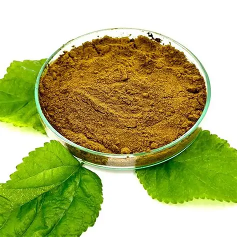 Mulberry Leaf Extract