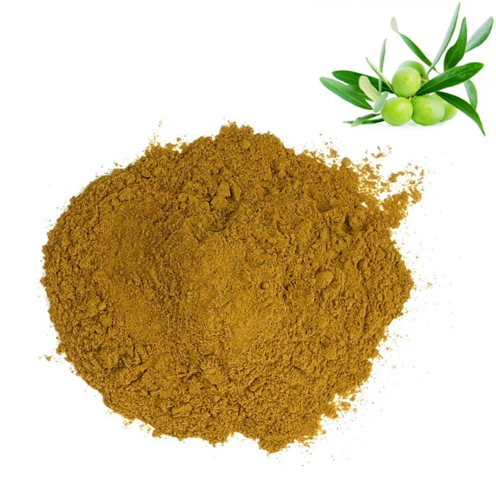 Olive Leaf Extract