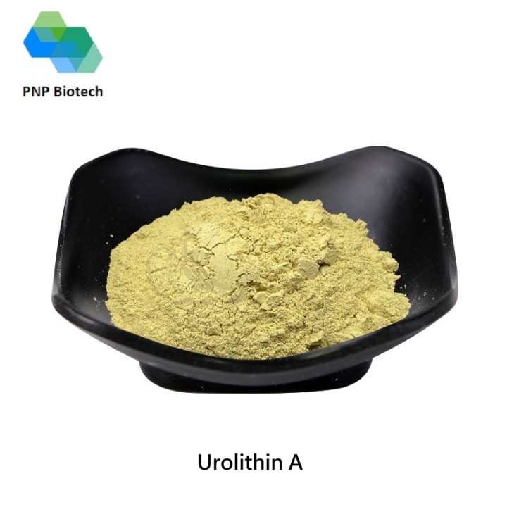 Urolithin A