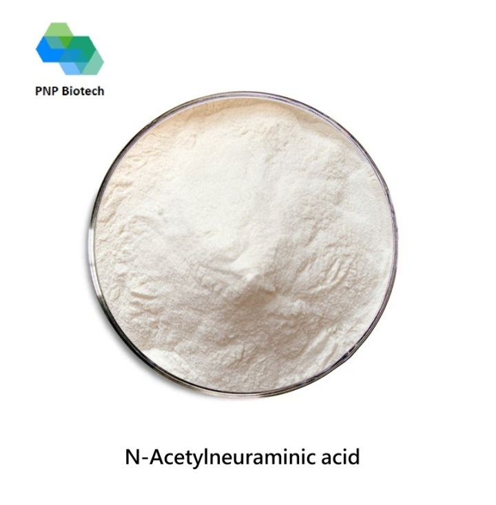 N-Acetylneuraminic acid