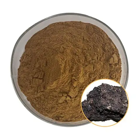 Shilajit Extract powder