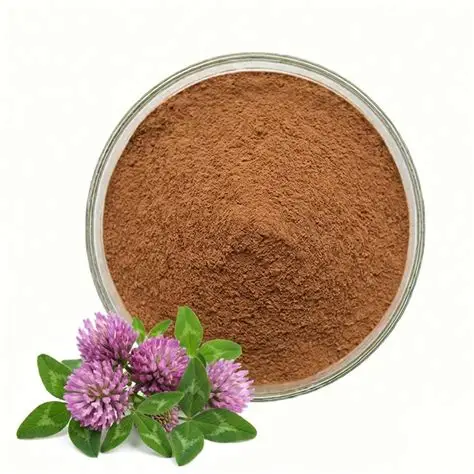Red Clover Extract Powder 