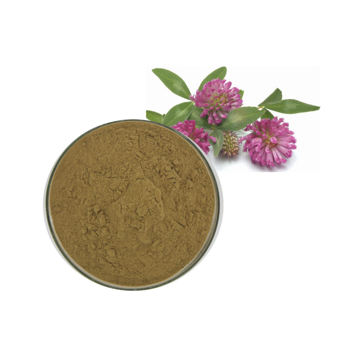 Red Clover Extract Powder 