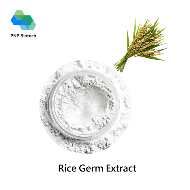 Rice Germ Extract
