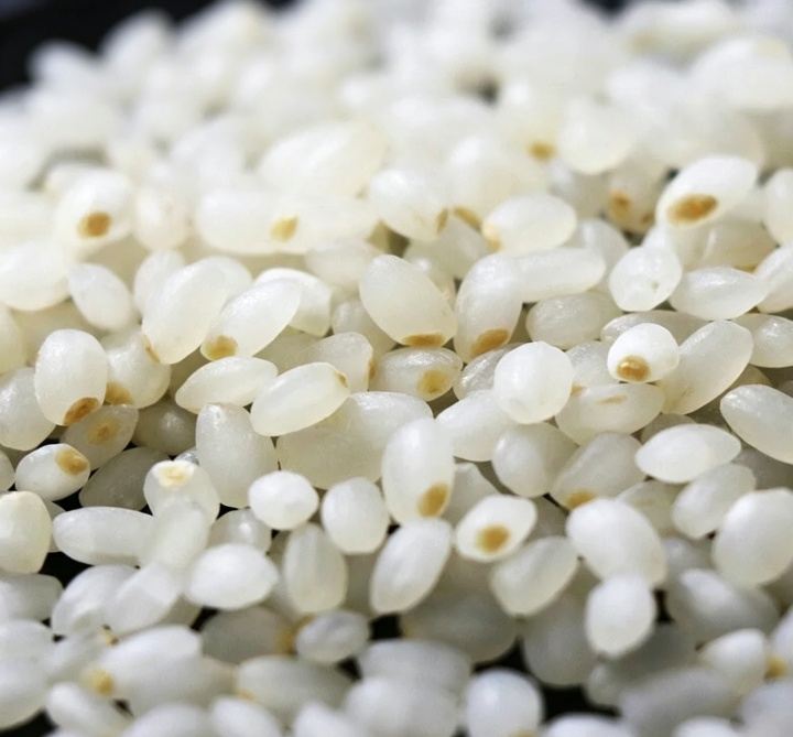 Rice Germ Extract