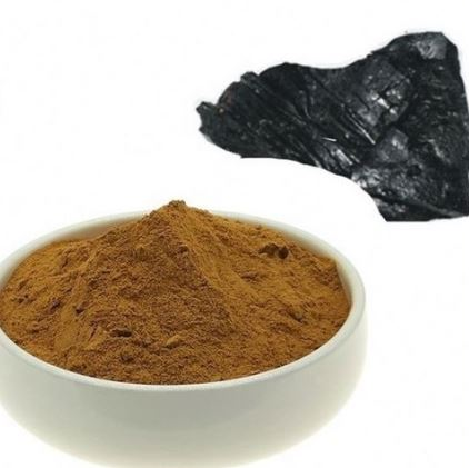 Shilajit Extract powder