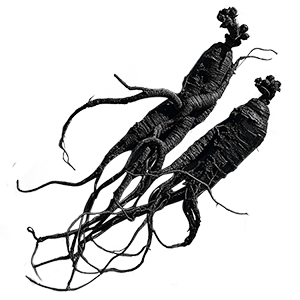 Black Ginseng Extract