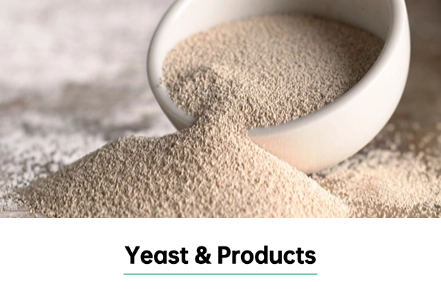 Yeast & Product in healthcare