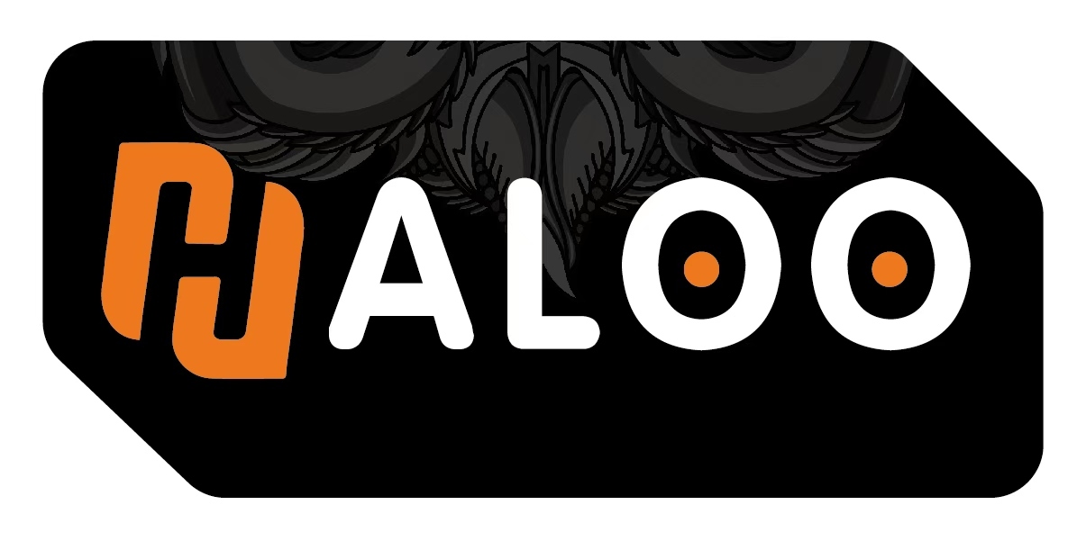 Halooplayer