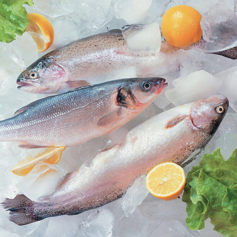 Flake ice machine are widely used in Seafood processing flake ice machine, flake ice