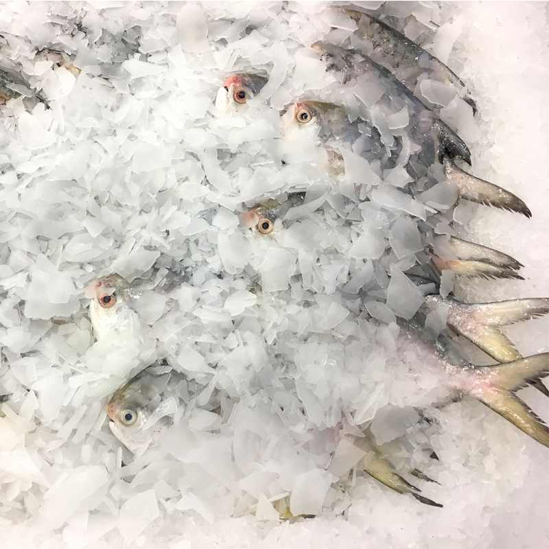 Flake ice machine are widely used in Seafood processing flake ice machine, flake ice
