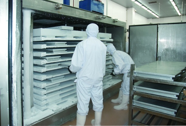 High Reliable Plate freezers & Freon Refrigeration System Thursday, 17 July 2025 