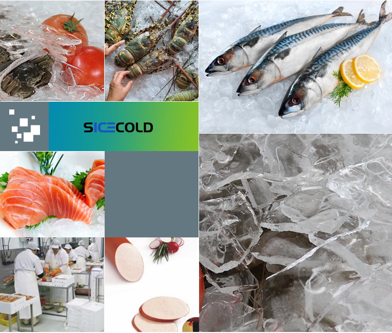 Plate ice machine high relible Long Service Life 5 ton ice plate machine  