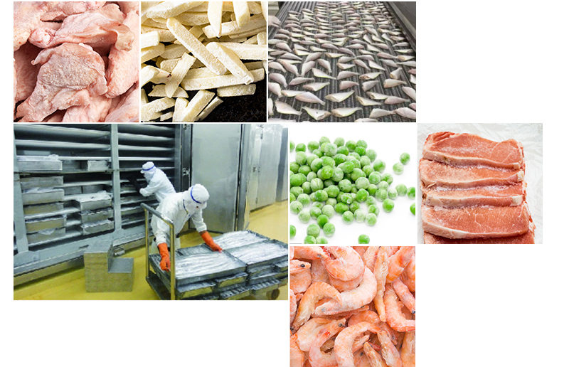 Plate Freezer SICECOLD Industrial Automatic Intelligent New Design  