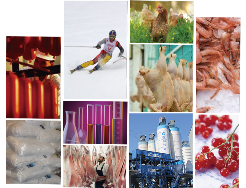 SICECOLD Flake Ice Evaporator Automatic 5 Ton High Reliable 20years Lifespan Flake Ice Machine Evaporator for Seafood  