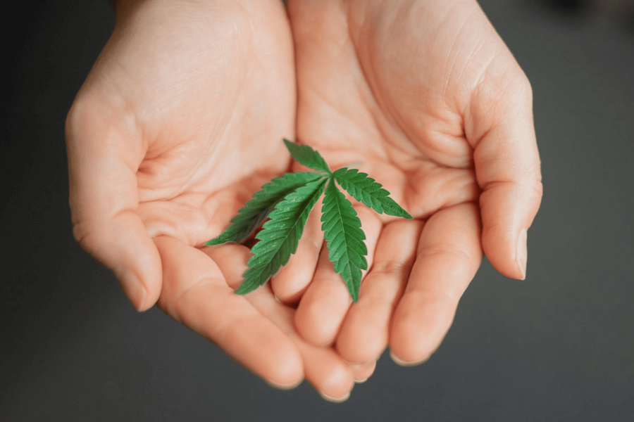 Why Healthy Concentrate Vaporizers Are the Future of Vaping in 2025