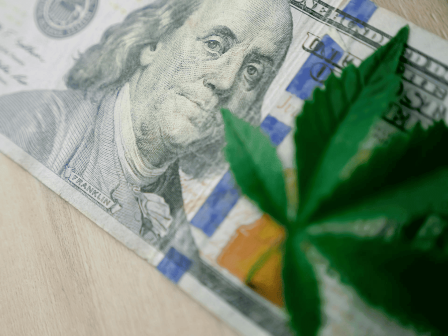 U.S. Marijuana Culture Evolution: From Taboo to Mainstream