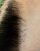 resize