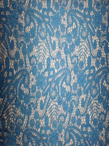 Funky Blue Flower Pattern Hollow out Chemical Embroidery HKS5065-W001  