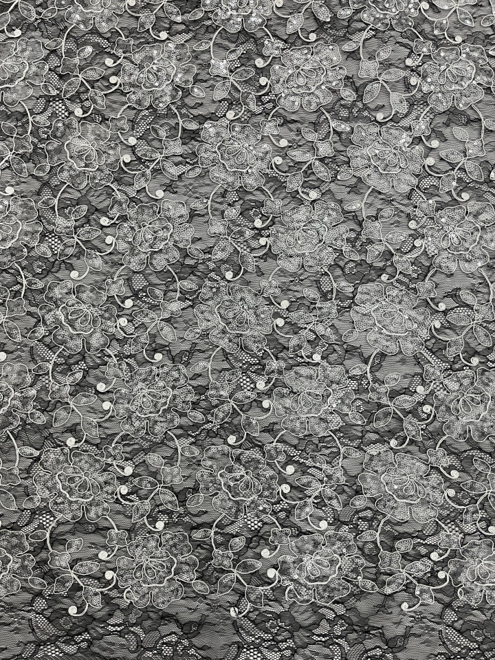 Soft Ground with sequins Lace Embroidery Fabric L-EX-10048  