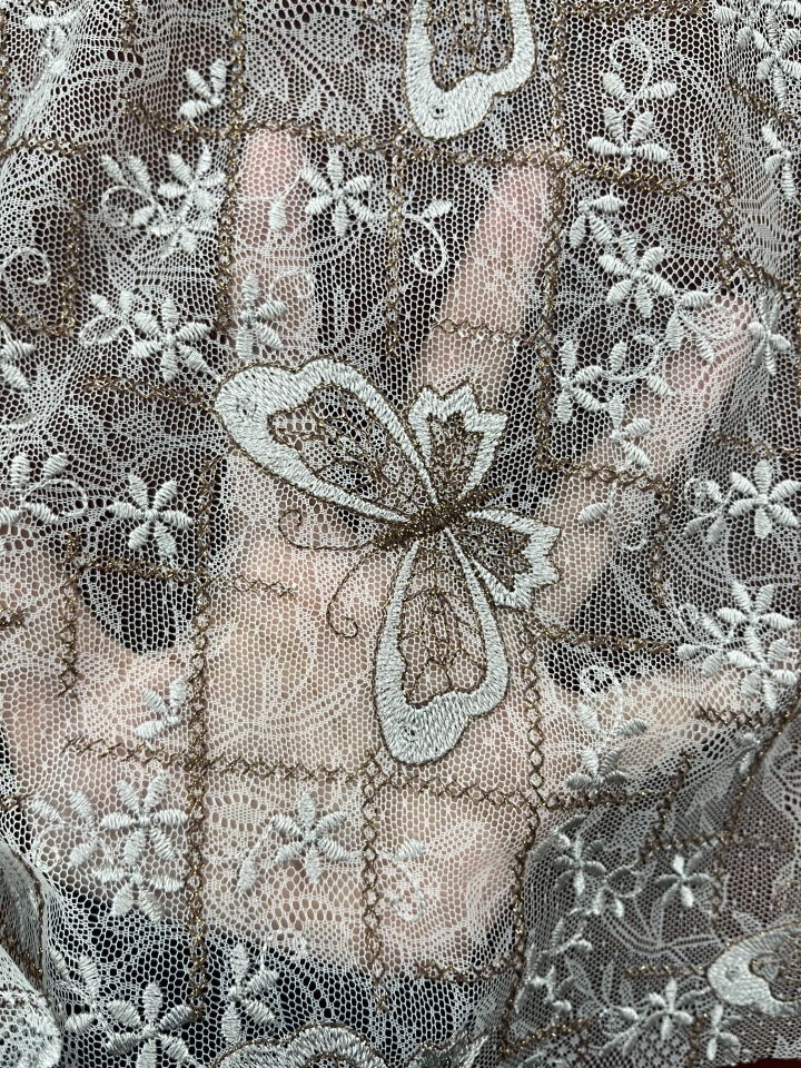 Designable Butterfly Pattern Lace Fabric L-DX-10073  