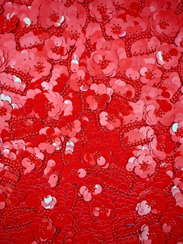 Sequins Embroidery with red sequins HKZ10133