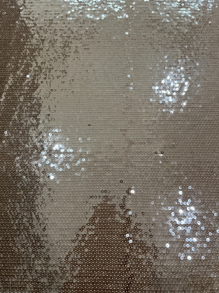 Light Brown Sequins Embroidery With Soft Mesh HKZ10310  sequins embroidery factory