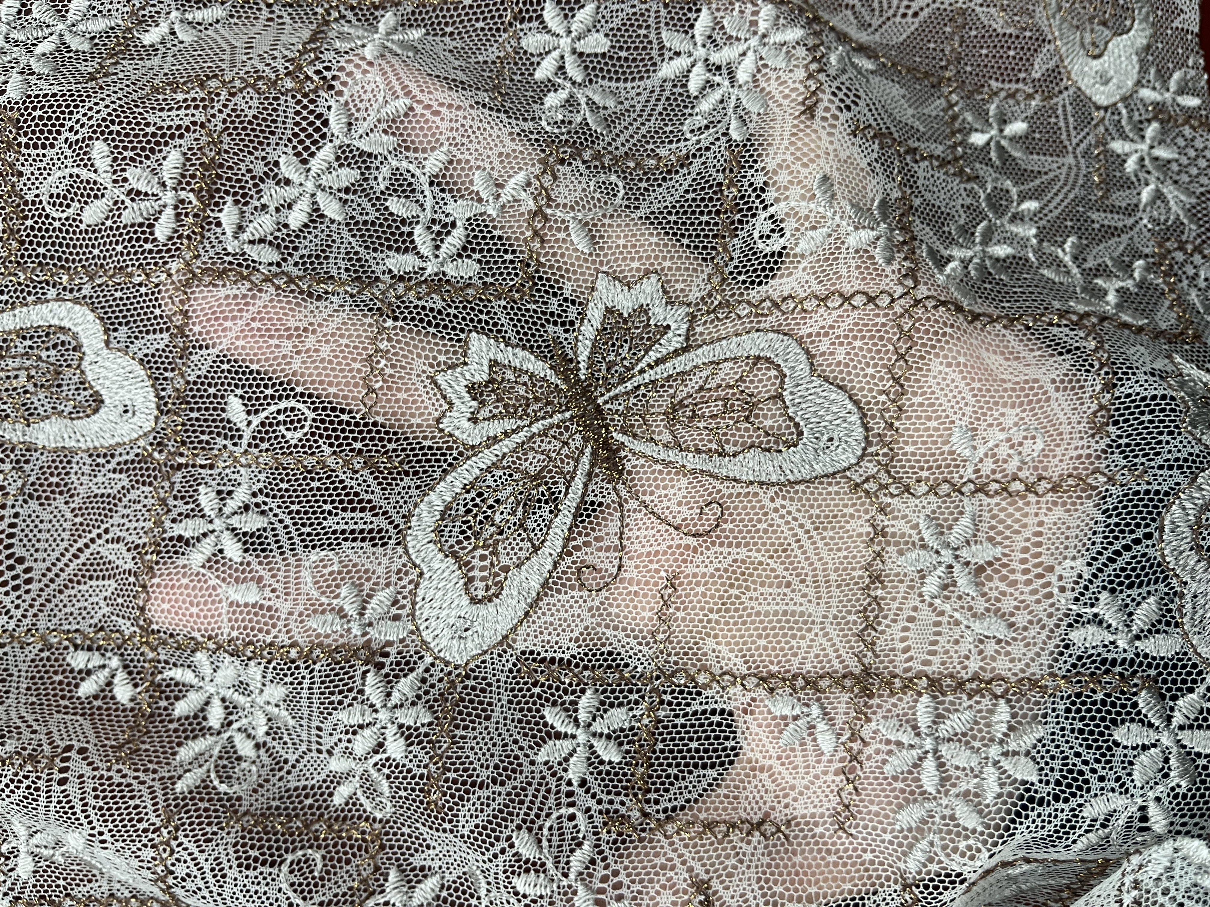 Designable Butterfly Pattern Lace Fabric L-DX-10073  