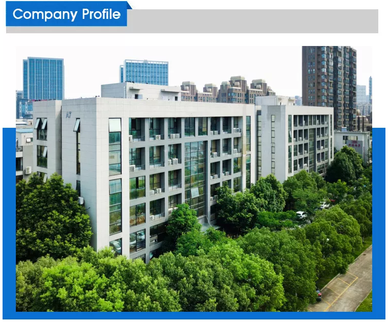 Company introduction