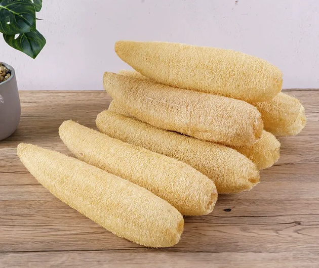 Beyond the Kitchen: 10 Surprising Uses of Natural Loofah Sponge for a Zero-Waste Lifestyle