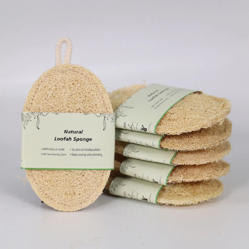 Luffa: The Unsung Hero of Sustainability, Fashion, and Bio-Innovation