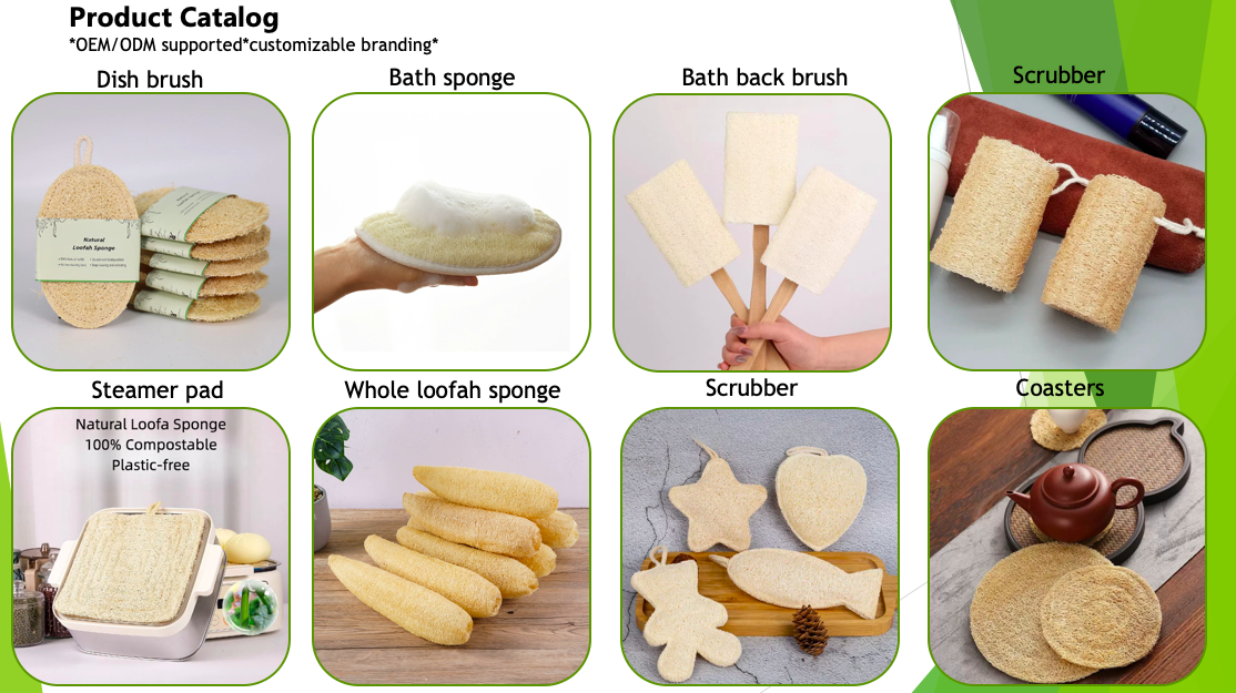 Luffa Literacy: Teaching Kids Circular Economy Through a Classroom Composting Project