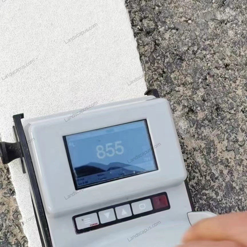 Landscapus Road Pavement Marking