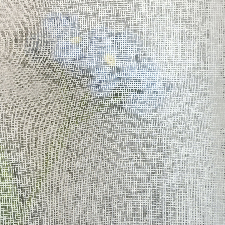 AS2203-1 Veils fabric for curtain  
