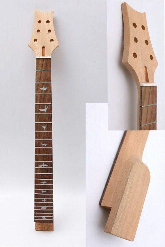 bird inlay guitar neck