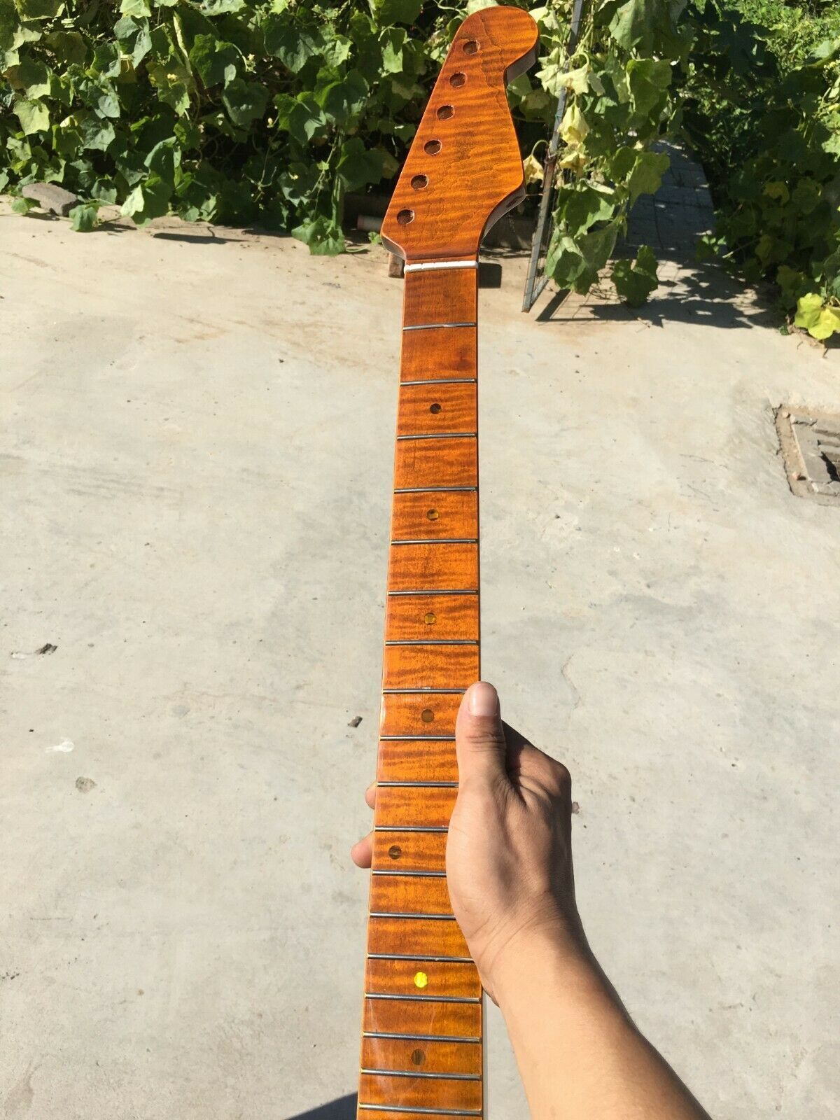 Flame maple strat neck top