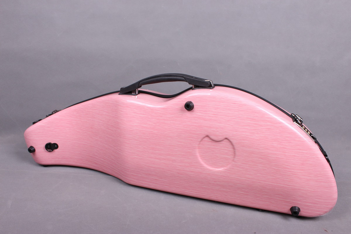 Amazon.com: COYOUCO Violin Case, Violin Hard Case 4/4 Full