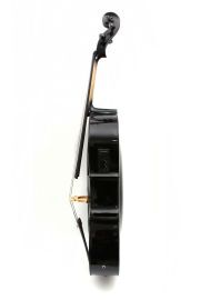 Yinfente 4/4 Electric Cello Spruce Maple Handmade Cello Acoustic Cello Free Cello Bag Cello Bow Black color cellos