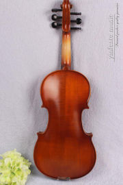 6String Brown Advance Electric Violin Acoustic 4/4 Spruce maple Free Case #EV1